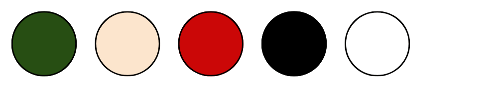 Warna GWM ORA 03 BEV